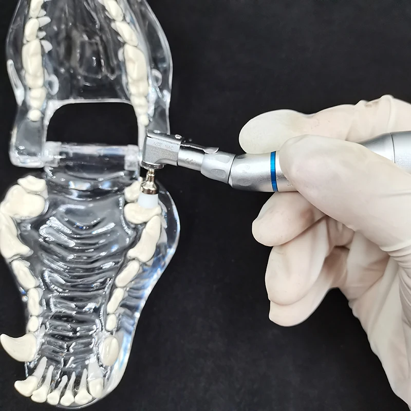 100 шт./коркор. Полировочная щетка для зубов полировщик нейлоновая щетина