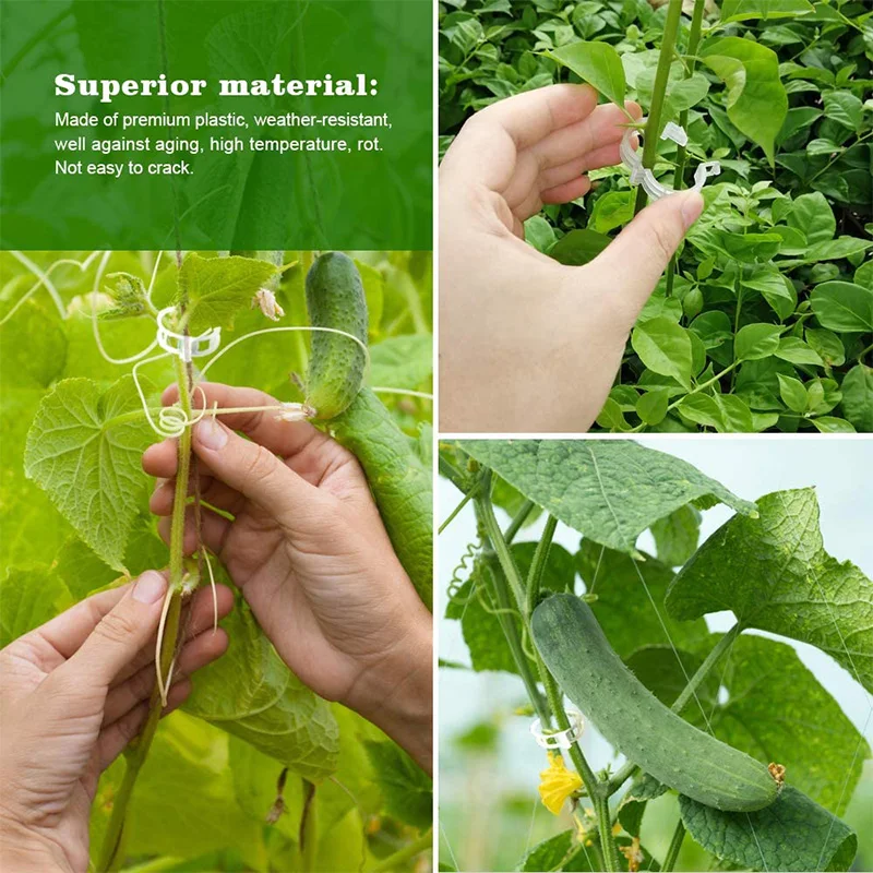 

Hot XD-200 Pcs Hanger, Plant Hanger, Hanger, Tomato Clip, Bundle Clip