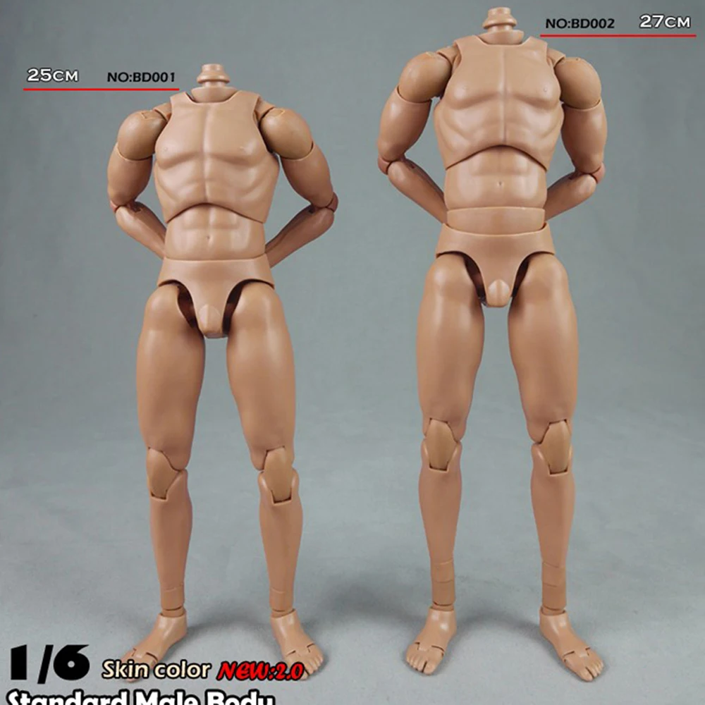 COOMODEL 1/6 2 0 Мужской узкий плечевой кожи Цвет Нормальный/высокая версия BD001/BD002 кукла