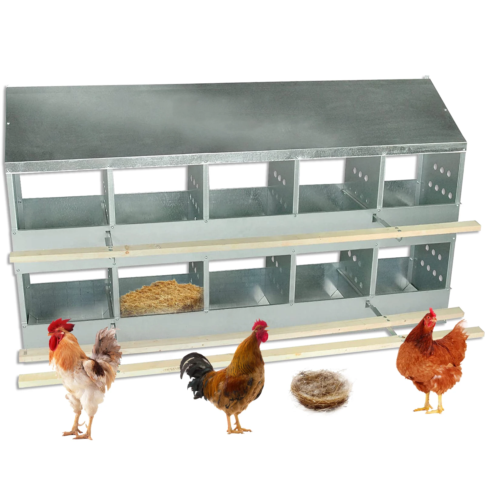Nest Laying Box Easy to Operate Economy 10 Hole Hen Chicken Nesting