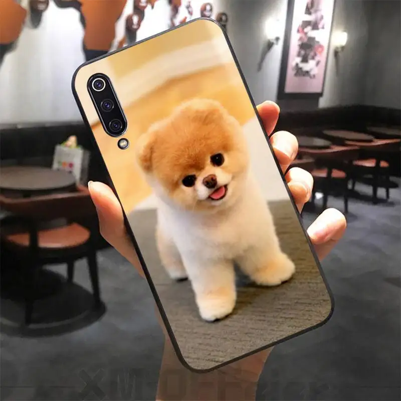 

CUCI Pomeranian dogs dog Phone Case for Xiaomi mi5 6 A1 A2 Lite Mi9 9SE mi8lite F1 Mix2 2S Max2 3