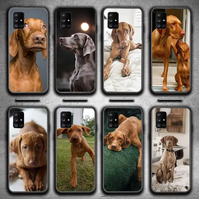 

Hungarian Vizsla Dog DIY Luxury Phone Case for Galaxy J2pro J4 J5 J6 J7 plus J5 prime J72016 2018 M 10 20 30 funda Cover