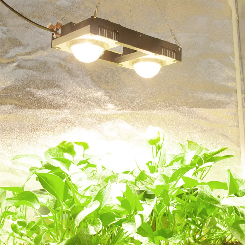 3500K CREE CXB3590/SAMSUNG LM301B/LUMENS COB фитолампа полного спектра 100 Вт/200 Вт Внутренняя палатка