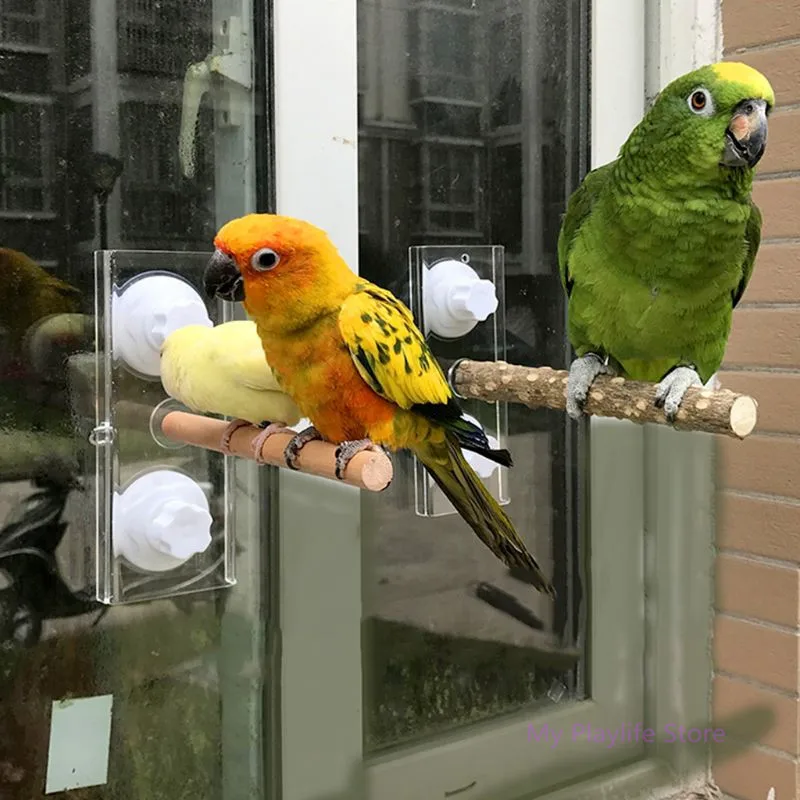 Pet с изображением птиц и попугаев Жердочки игрушки из дерева Поддержка рамка