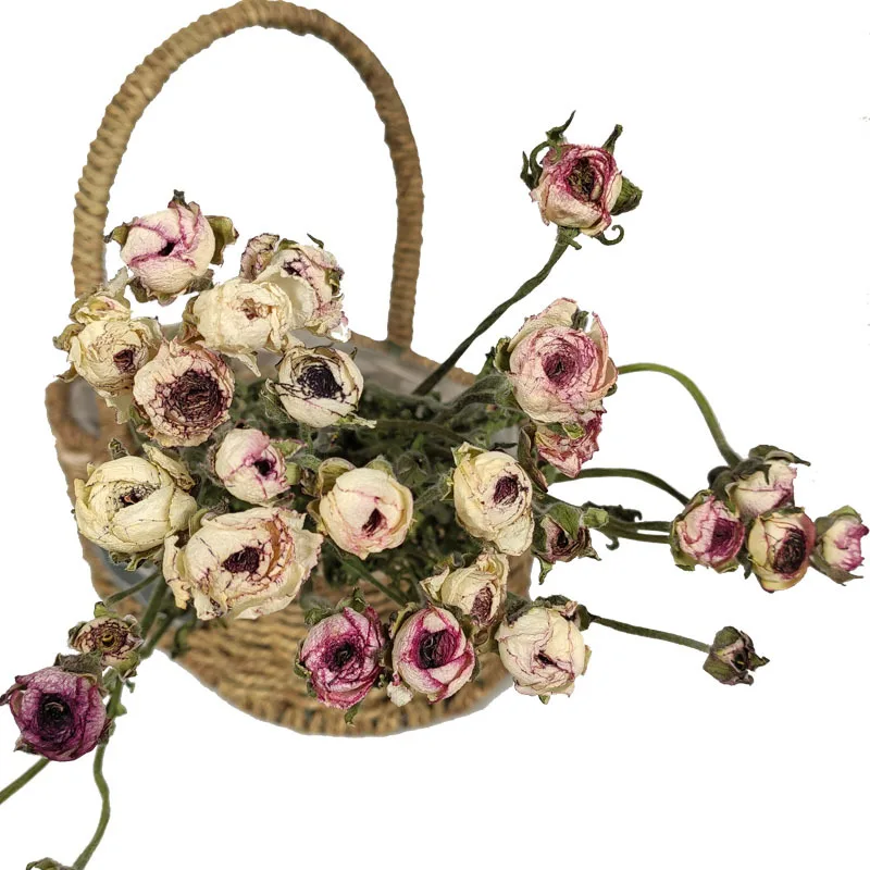 

2pcs dried peony bouquet natural air drying living room decoration Photo Props flower arrangement beauty forever