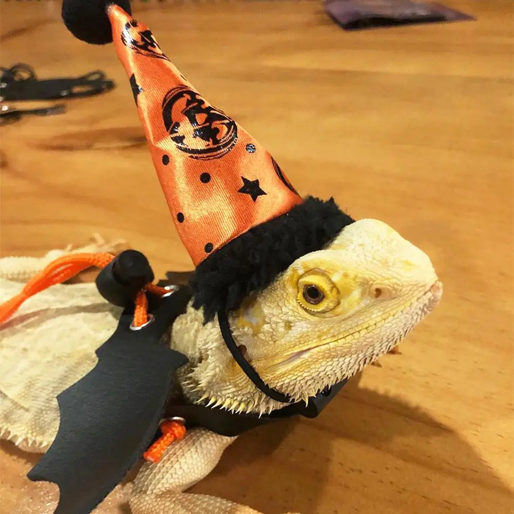 Дракон/игуаны/ящерица маленькая рептилия упряжь Ящерица Забавный костюм для