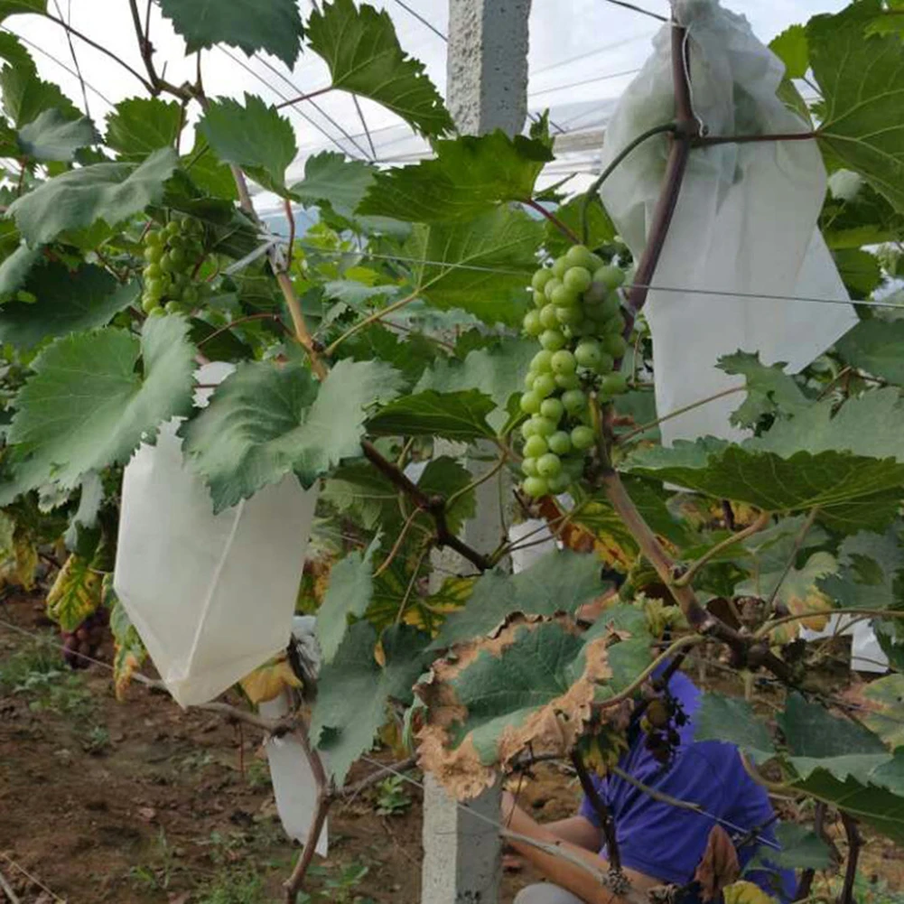 

50Pcs/Lot Garden Vegetable Grapes bags Apples Fruit Protection Bag Pouch Agricultural Pest Control Anti-Bird Mesh Bags 18 x 20cm