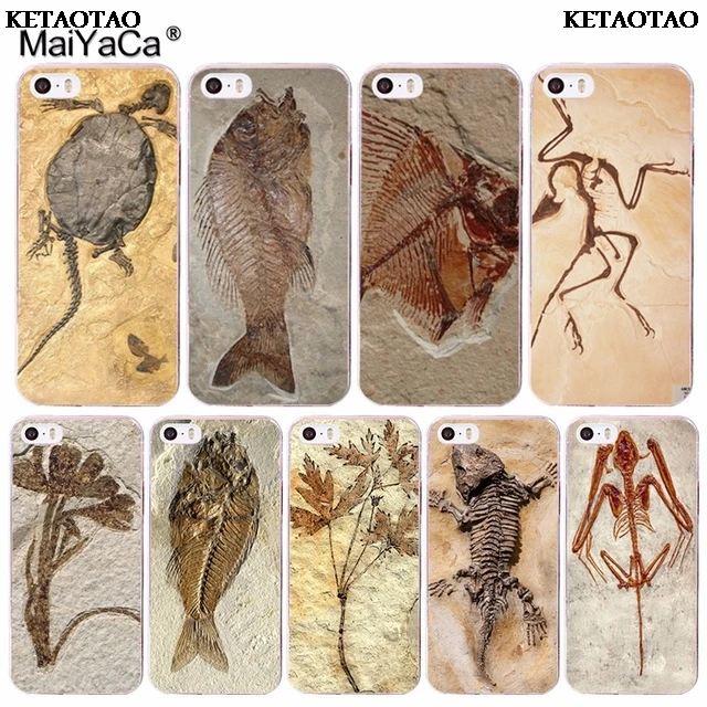 KETAOTAO окаменелости растений динозавр рыбы для iPhone 4S SE 5C 5S 6S 7 8 Plus X XR XS MAX чехлы
