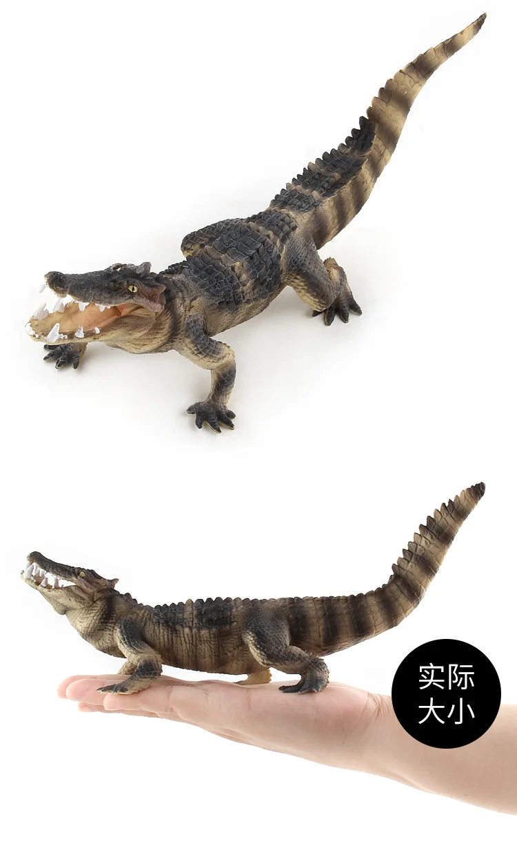 

25cm 1pc Crocodile Figurine Animal Action Figure Toys PVC Wild Animal Model Educational Figurine Gift For Kids