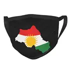 Маска для лица в стиле кантри Курдистана, одноразовая, противотуманная, с курдским флагом