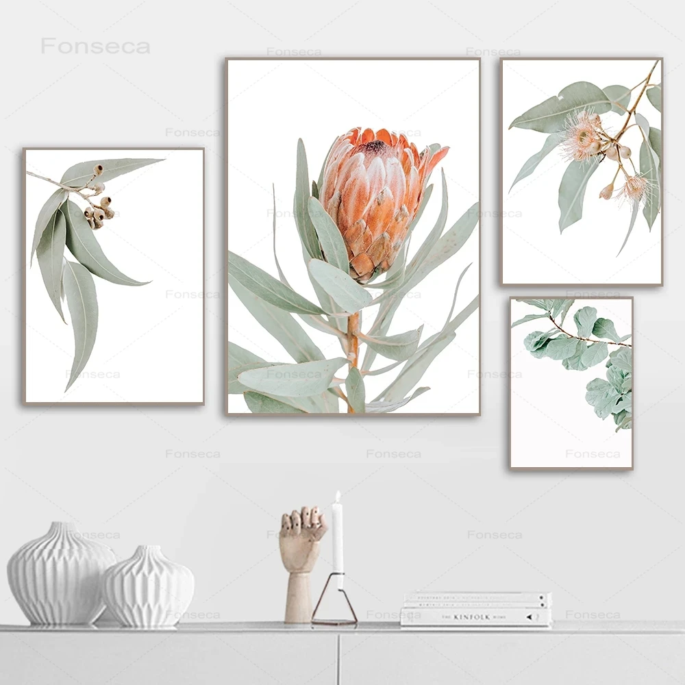 

Australia Plants Leaf King Protea Flowers Wall Art Pictures Canvas Paintings Posters and Prints for Living Room Home Decorative