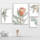 Настенные картины с австралийскими растениями, листьями, королями и цветами Protea, картины на холсте, плакаты и принты для гостиной, домашний декор
