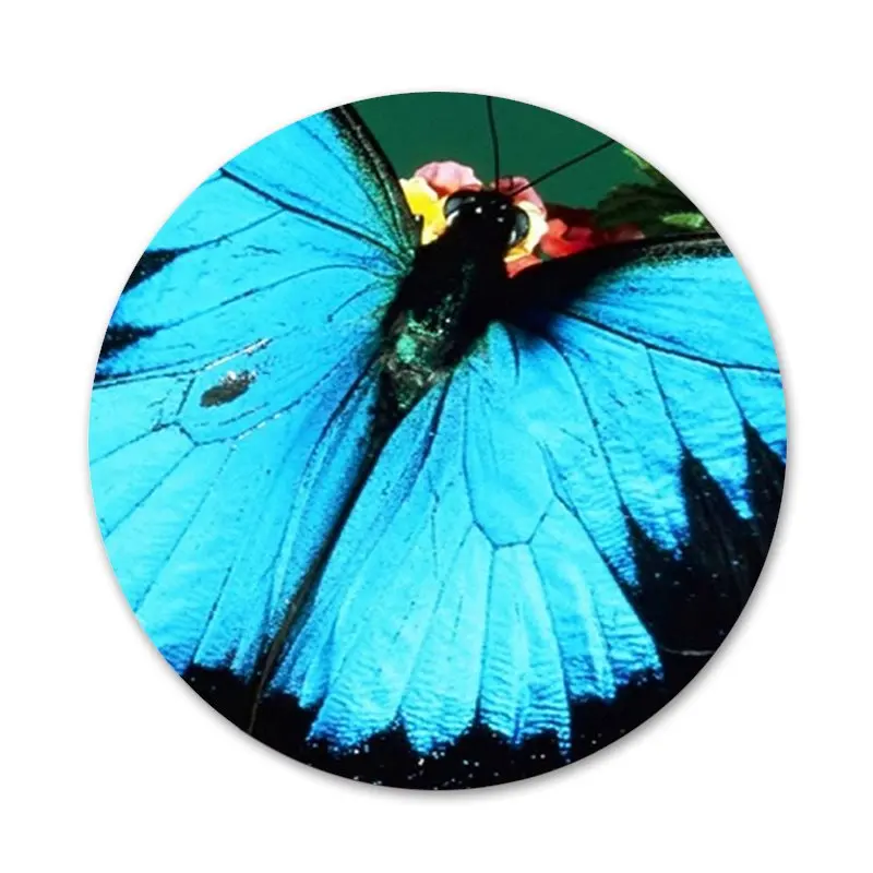 Значки бабочки на белых розах цветок значки украшения броши металлические для