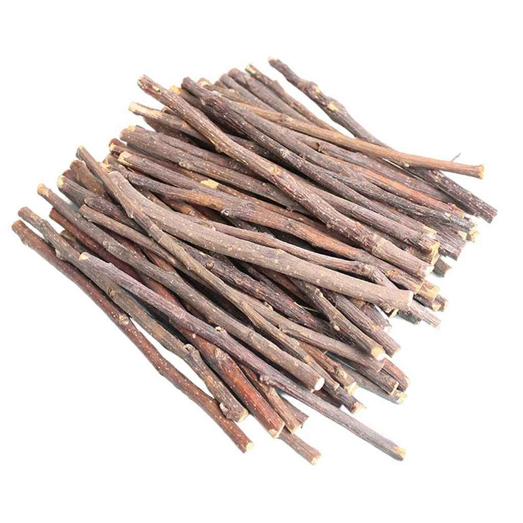 

1kg Hamster Apple Wood Chew Sticks Twigs Guinea Pig Squirrels Rodent Animals