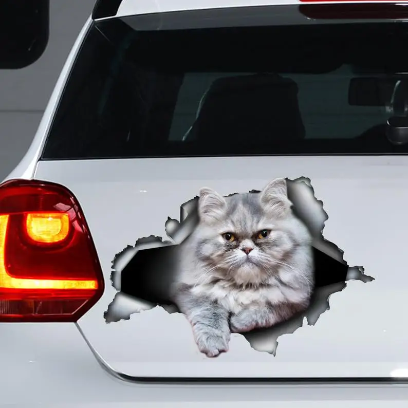 

Grey Persian cat car decal , Persian cat magnet, Persian cat sticker