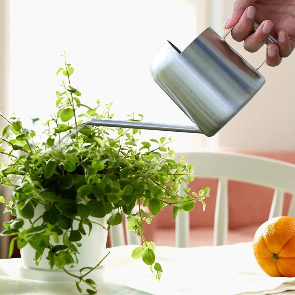 Небольшая Лейка для полива лейка из нержавеющей стали садовых растений дома и