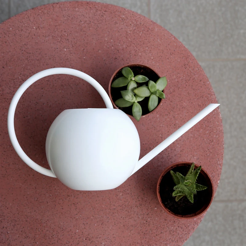 

1L Long Spout Watering Can Stainless Steel Flower Plants Sprinkling Tools for Watering Bonsai Succulent LOTE88