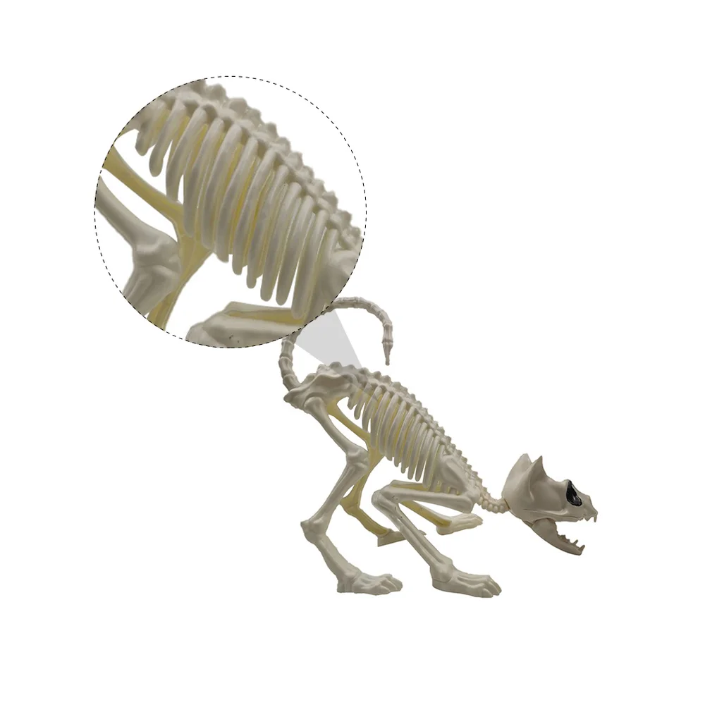 

1Pc Crouching Cat Skeleton Cat Model Creepy Animal Bones for Decoration (White)