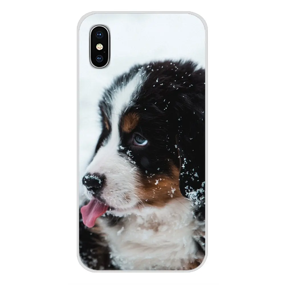 Чехол для телефона Samsung A10 A30 A40 A50 A60 A70 Galaxy S2 Note 2 3 Grand Core Prime Bernese Mountain Dog щенок |