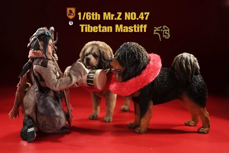 Mr.Z MRZ047 1/6 Имитация животных модель 47 Пули тибетский мастиф может использоваться