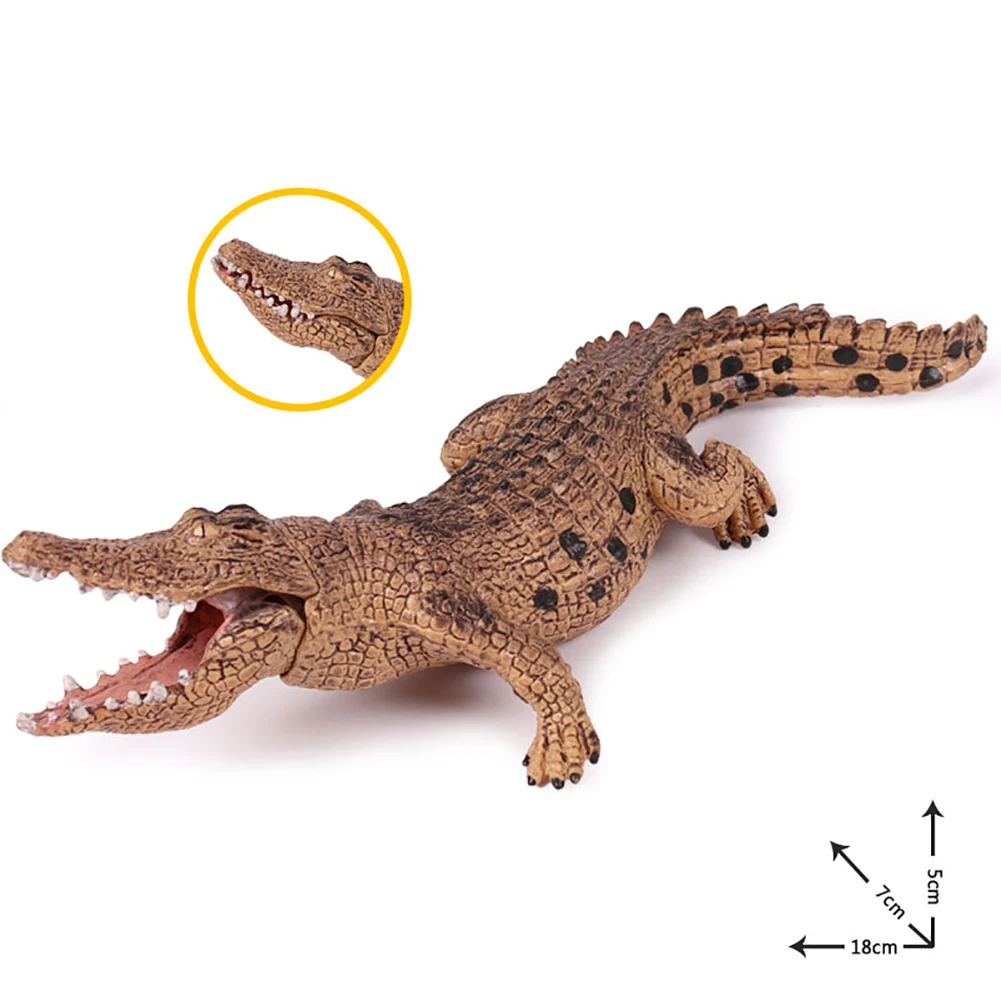 

Simulation Animals Toys Crocodile Model Action Figures Children Kids Toy Gift Educational Toys Figures Figurine Home Decor Dolls