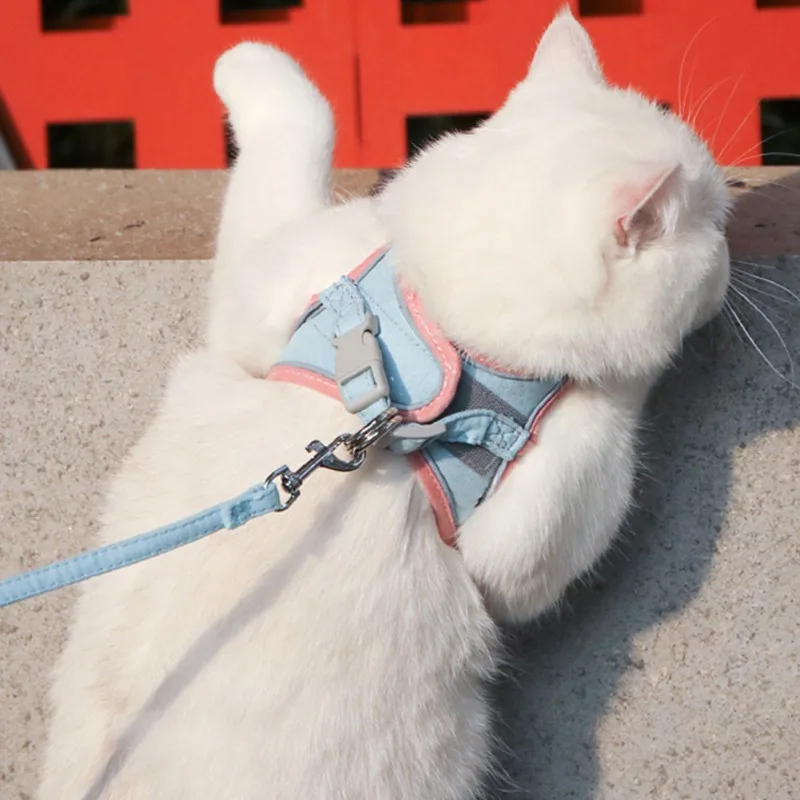 _ Наружный поводок безопасности для тренировки домашних животных со