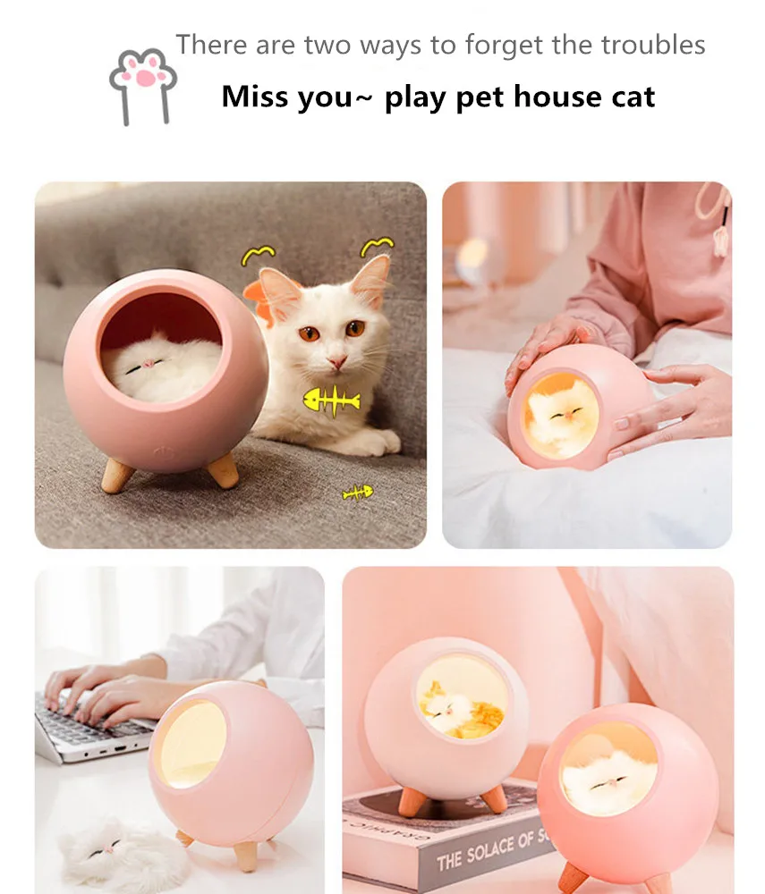

Hot Sale Children's Day Gift Net Red Girl Creative Birthday Gift Glowing Cat Toy