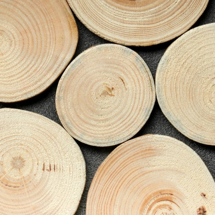 Saw cut Pine round d 4/7 cm h 5 mm Wood Crafts Arts And Home Garden Needlework DIY Sewing |