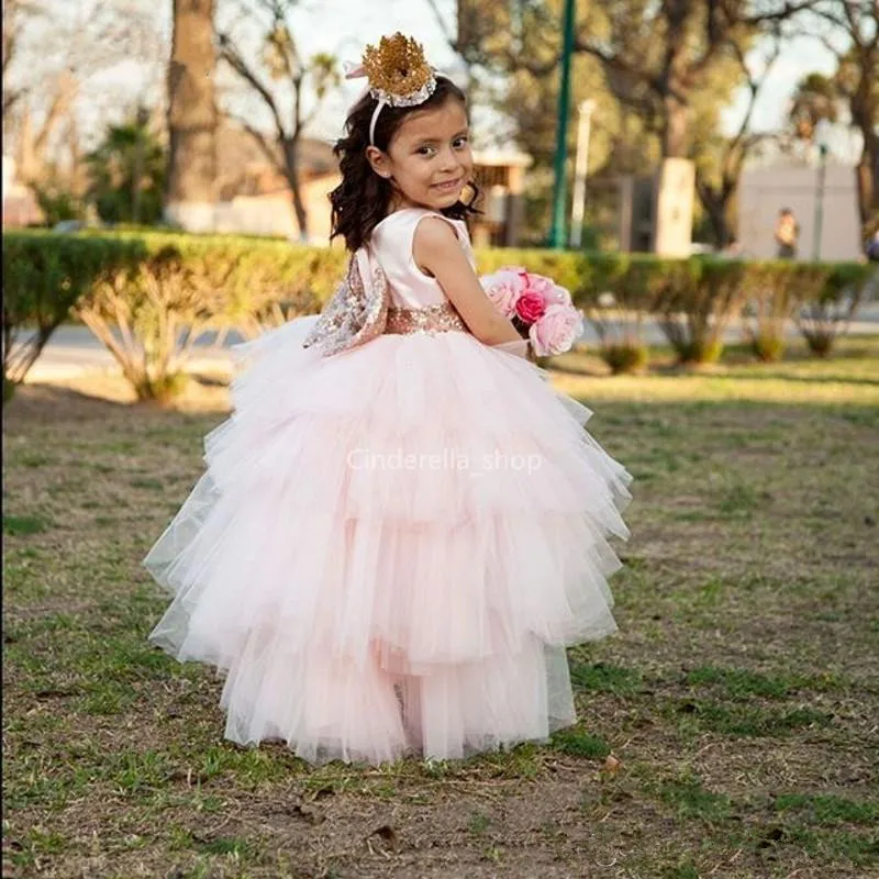 Пышные Розовые Платья с цветочным узором для девочек Бальное платье без рукавов