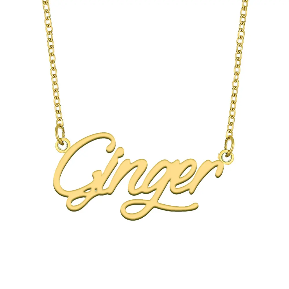 

Ginger Nameplate Necklace for Women Stainless Steel Jewelry Gold Plated Name Chain Pendant Femme Mothers Girlfriend Gift