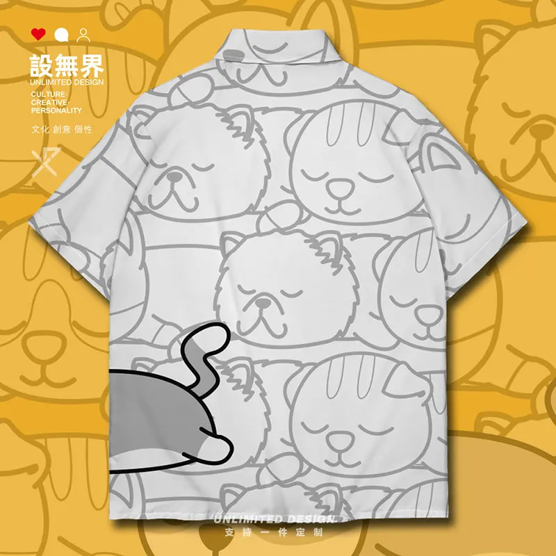 

Pet British short tailed cat Canadian Hairless orange cat cartoon cat Short-Sleeved shirt clothing Short Sleeve Clothes Summer