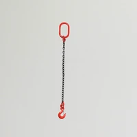 1m 1t chain puller block fall chain hoist hand tools lifting chain with hook chain hoist block