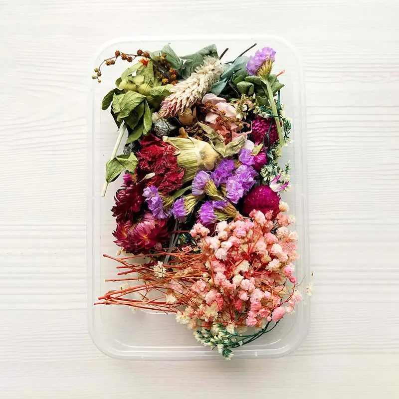 

Mixed Colorful Real Dried Flower Natural Floral For Art Craft Scrapbooking Resin Jewelry Craft Making Epoxy Mold Filling Flower