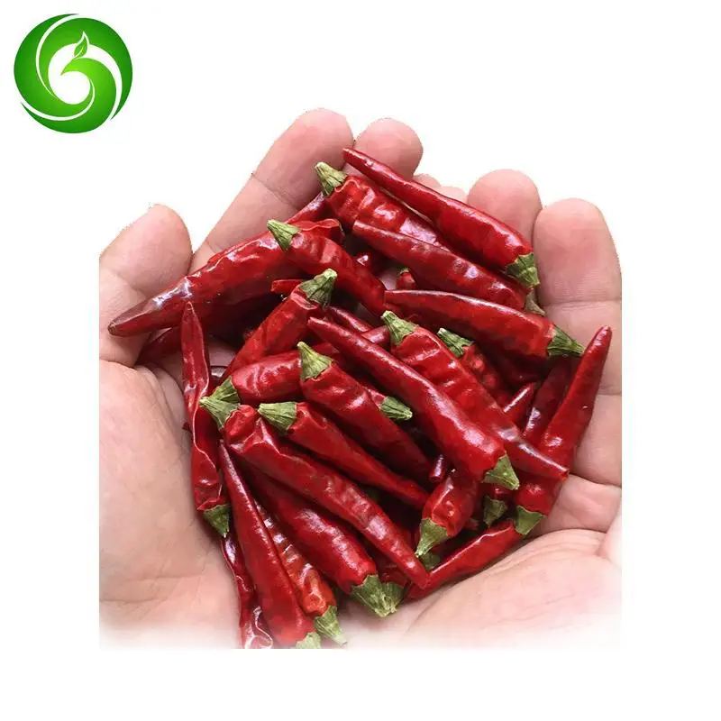 

Sun-dried in season, Henan farmhouse self-dried chili, super spicy, extra spicy, super fragrant dried chili, Chaotian chili