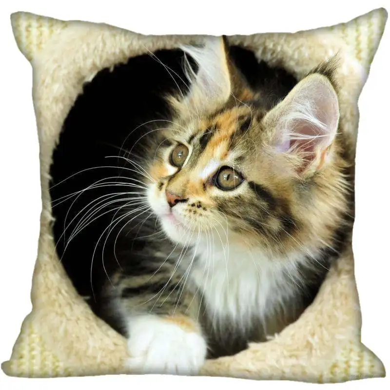 

40X40cm,33X33cm (ein seiten) tiere Kissen Fall Moderne Home Dekorative Nette Katze Kissenbezug Für Wohnzimmer Kissen Abdeckung