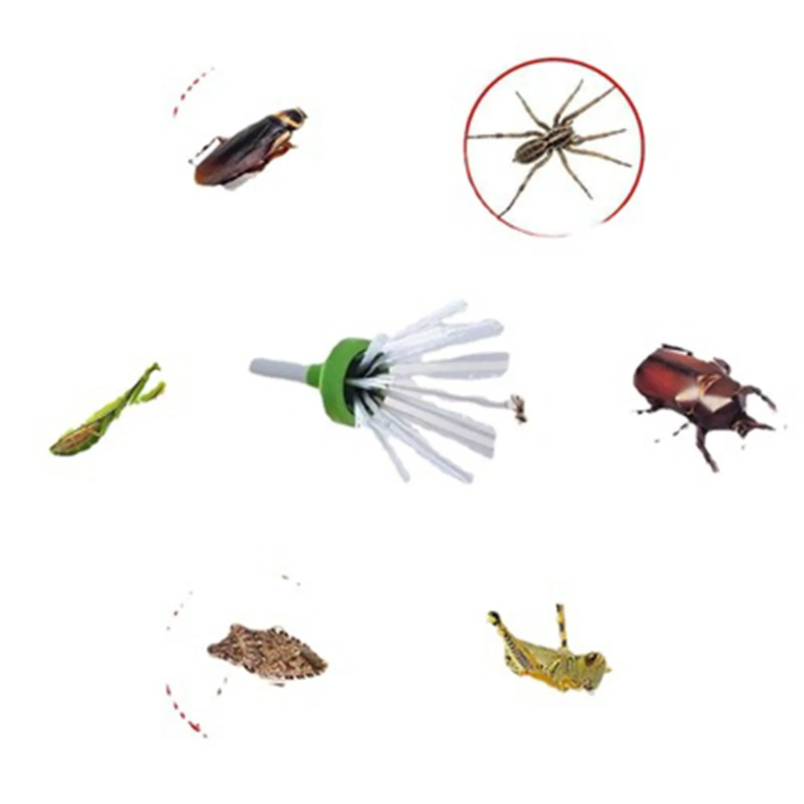 Человек-паук Длинный рычаг ручки Палочки инструмент Семья насекомых Ловушка