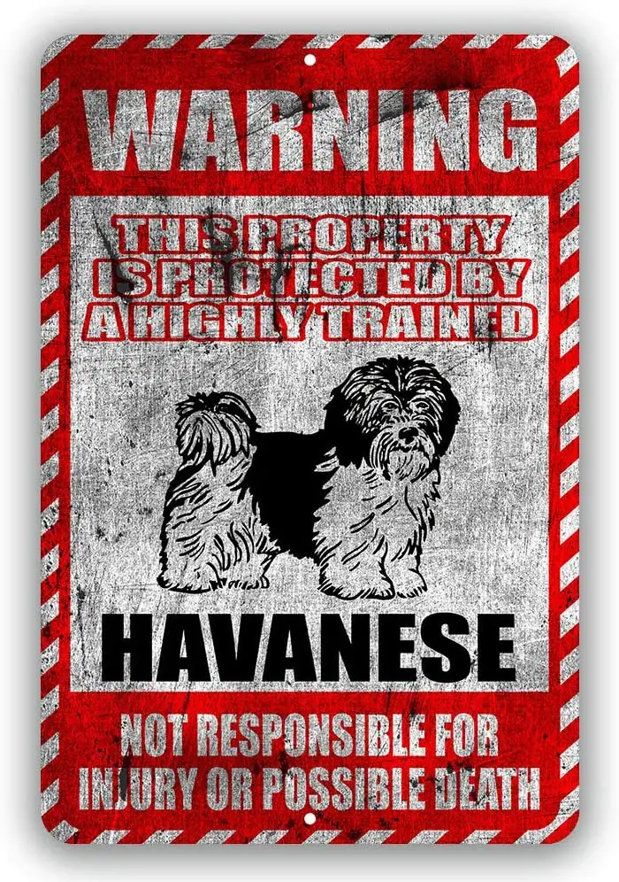 

Havanese Warning This Property is Protected by A Highly Trained Not Responsible for Injury Or Possible Death Yard Tresspassing