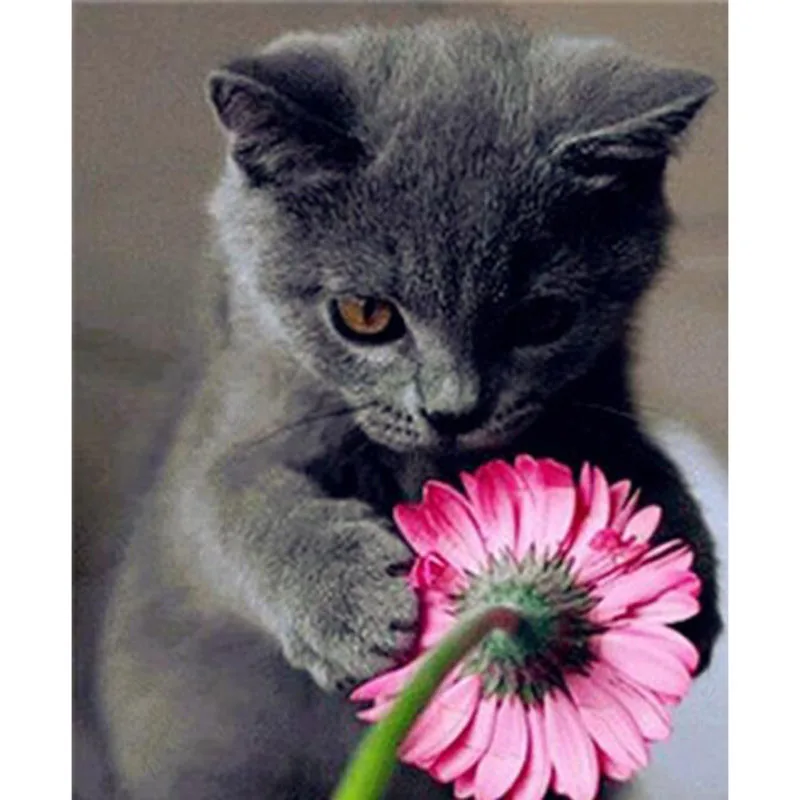 

Алмазная живопись 5D «сделай сам» с анималистичным рисунком, вышивка крестиком, черная кошка, круглая алмазная живопись, полноразмерная выш...