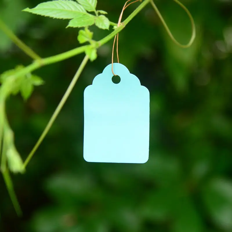 

Waterproof Strip Line Gardening Labels Gardening Tree Signs Plant Hanging Tags Garden Labels Flower Tag Plant Lab Recording G344