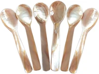 6 pcs mother of pearl 3 55%e2%80%b2%e2%80%b2 tiny spoons for caviar egg serving dessert coffee hand made natural shell spoon dec669