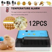 12 egg incubator household automatic incubator separate egg tray smart mini incubator incubation equipment portable kids gift