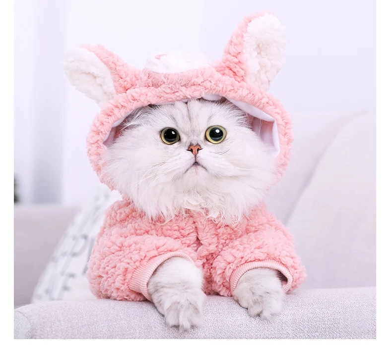 HOOPET кошка одежда для собаки из флиса Щенок Чихуахуа Одежда зимнее пальто костюм для маленьких средних собак кошек