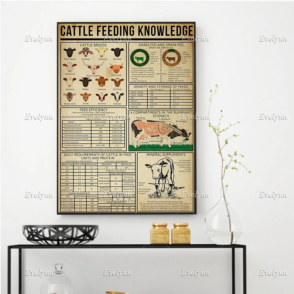 

Cattle Feeding Knowledge Poster Living RoomDecoration Canvas Painting Home Decor Canvas Wall Art Prints Gift Floating Frame