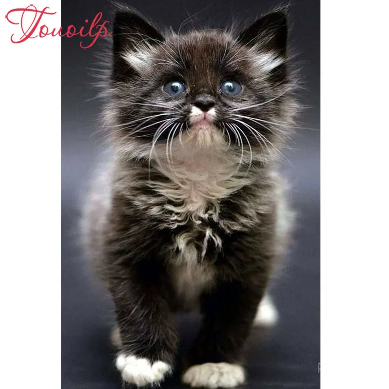 

TOUOILP 100% Full 5D Diy Daimond Painting "Animal cat" 3D Diamond Painting Round/Square Rhinestones Diamant Painting Embroidery