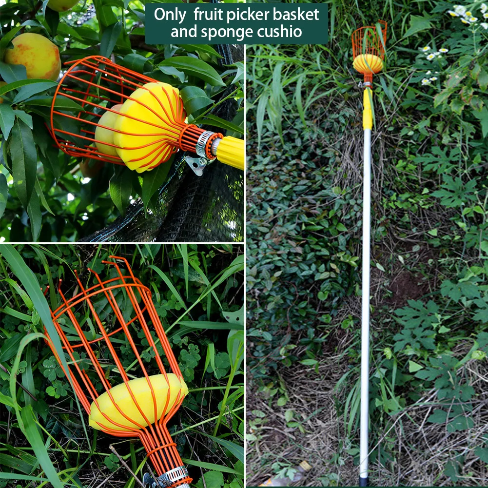 

Hardware Garden Tool Anti Bruising Deep Basket Durable Picking Fruit Picker Peach Harvesting Farm Stainless Steel With Cushion
