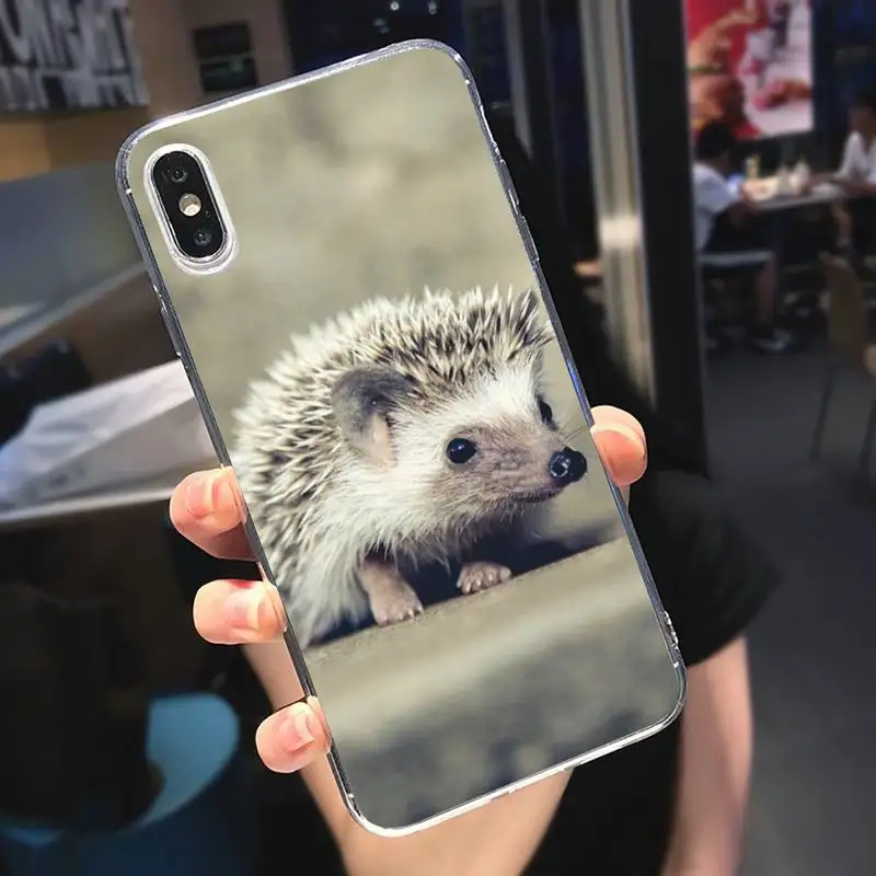 

Hedgehog cute animal Phone Case Transparent soft For iphone 5 5s 5c se 6 6s 7 8 11 12 plus mini x xs xr pro max