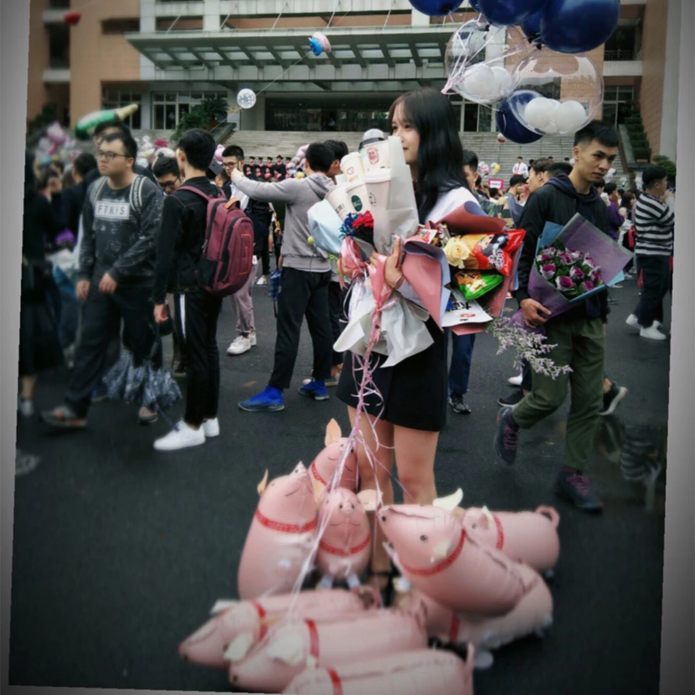 5 шт./лот шары-свиньи шары гелиевые из фольги для детей товары дня рождения