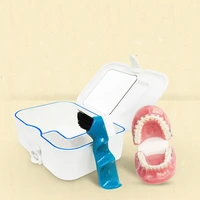 denture bath box case dental false teeth storage boxes with mirrorclean brush container applianc tooth organizer teeth care