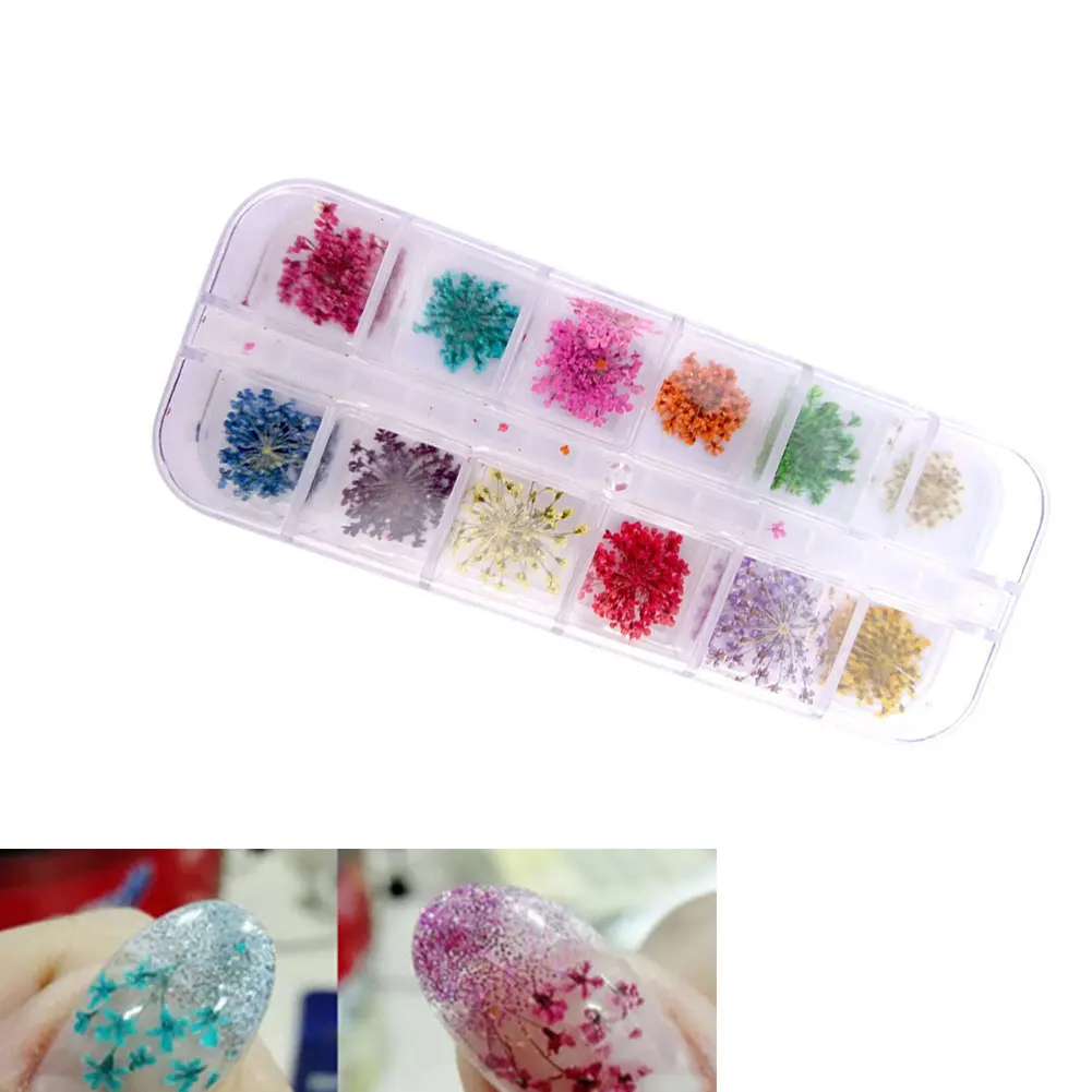 

12 Colors/Pack 3D Nail Art Accessories Dry Flower Nail Art Tips Slices Case Mini Cute Flower For DIY Craft Nail Decoration Tools