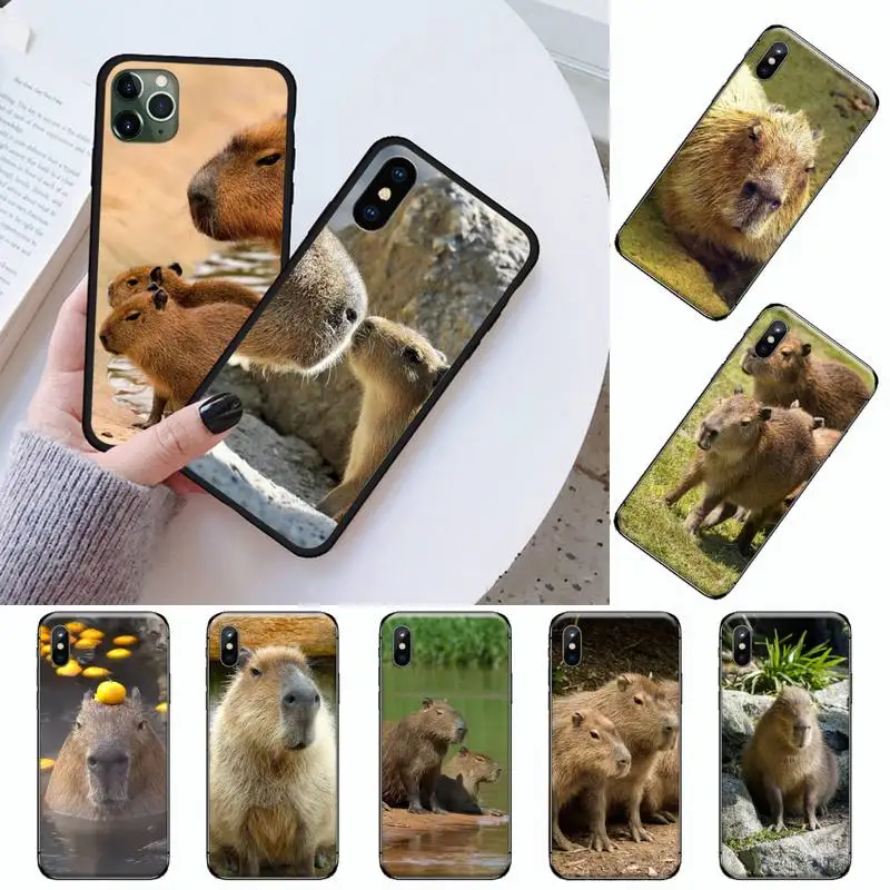 Милый чехол для телефона с изображением животного капибары iPhone 11 12 mini pro XS MAX 8 7 6 6S